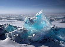 开拓者晒杨瀚森在球队商店购物视频：他真可爱